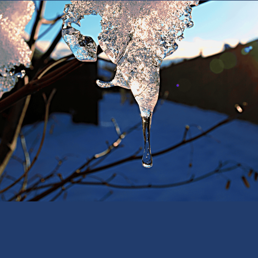 Photo of a branch covered in ice that is starting to melt in the forefront against a setting sun and winter scene.